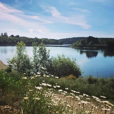 Séjour chez l'habitant Au Chant D'oiseau Amblève
